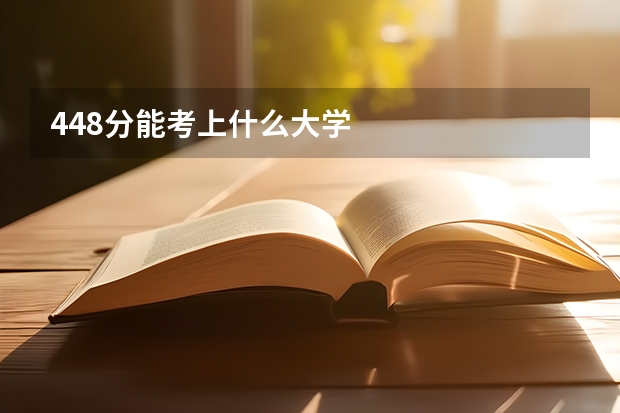 448分能考上什么大学