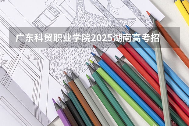 广东科贸职业学院2025湖南高考招生计划 招多少人