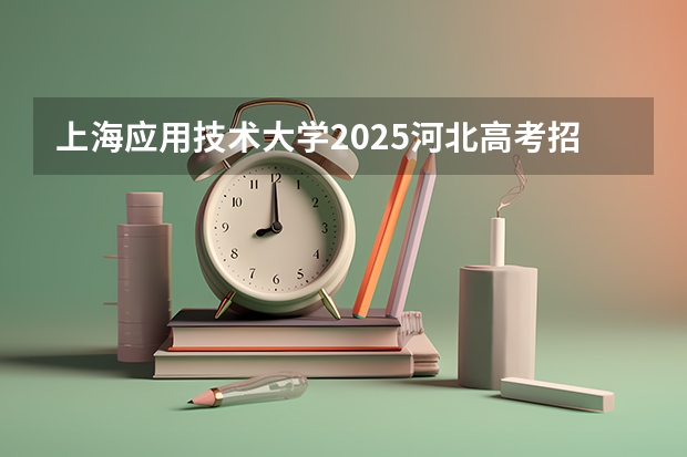 上海应用技术大学2025河北高考招生计划 招多少人