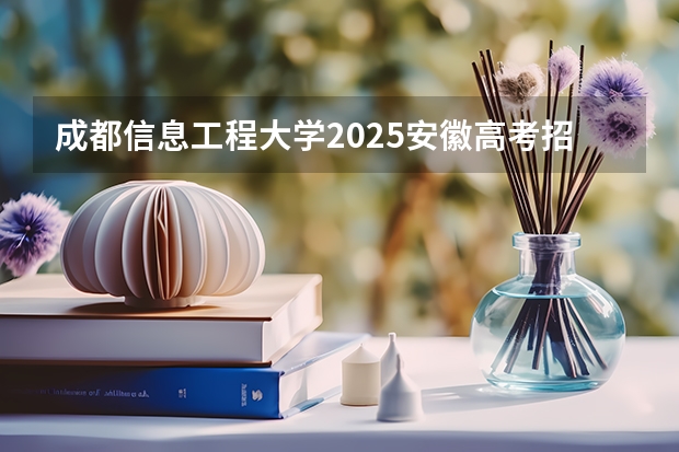 成都信息工程大学2025安徽高考招生计划 招多少人