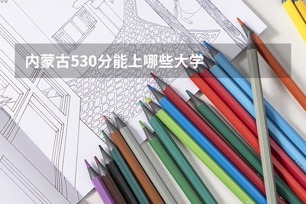 内蒙古530分能上哪些大学
