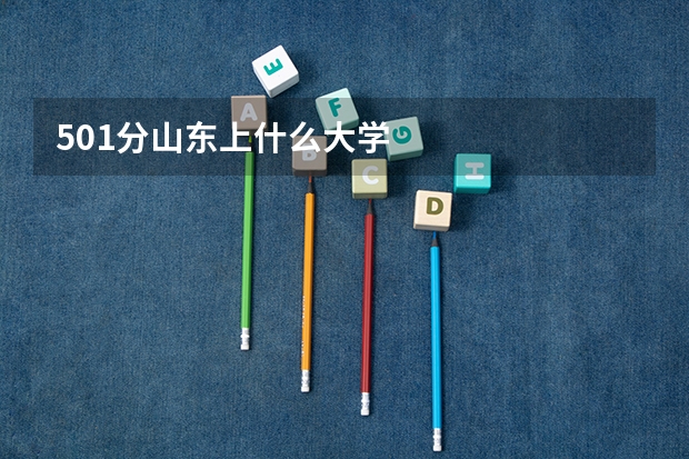 501分山东上什么大学