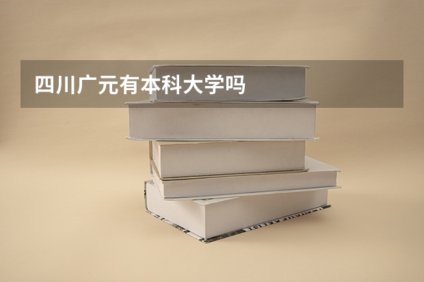 四川广元有本科大学吗