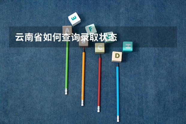 云南省如何查询录取状态