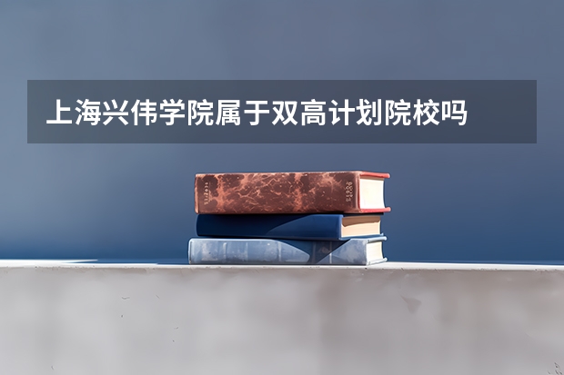 上海兴伟学院属于双高计划院校吗