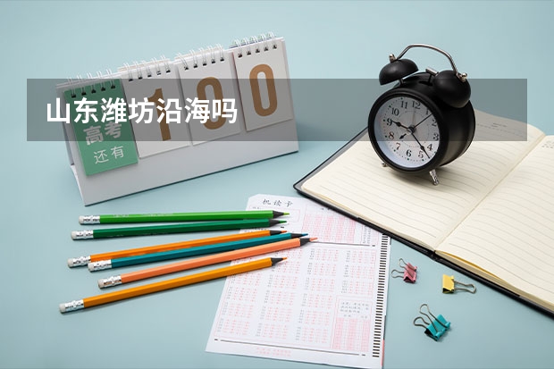 山东潍坊沿海吗