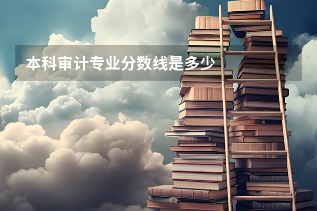 本科审计专业分数线是多少