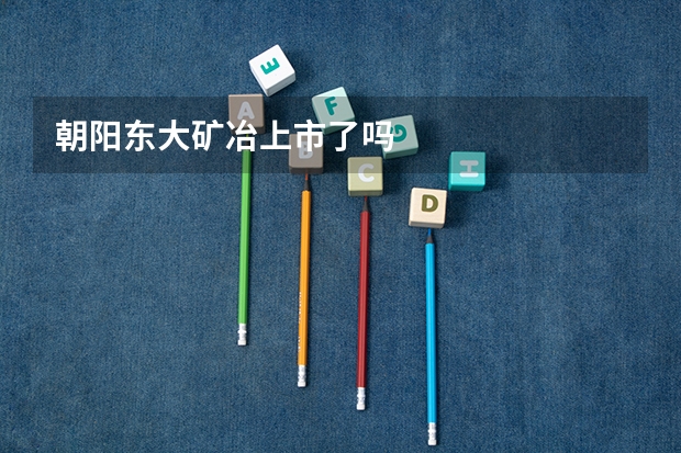 朝阳东大矿冶上市了吗