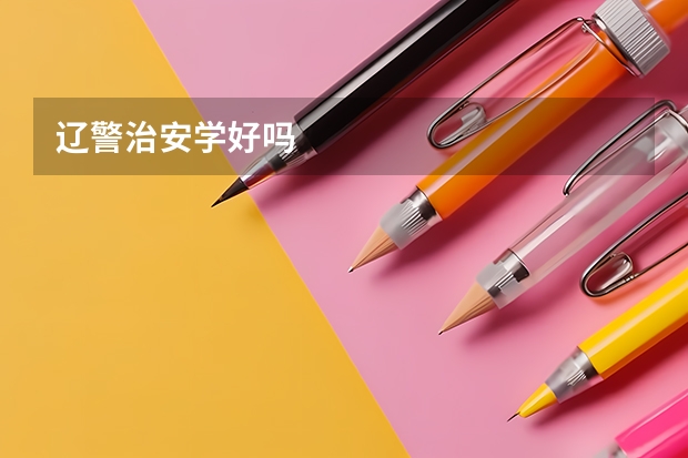 辽警治安学好吗