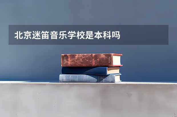 北京迷笛音乐学校是本科吗