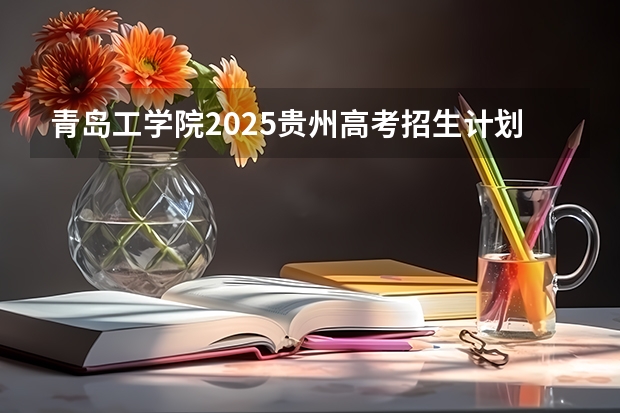 青岛工学院2025贵州高考招生计划 招多少人（2026参考）