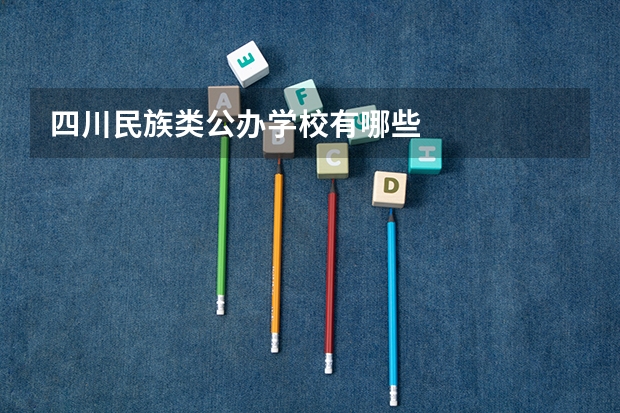 四川民族类公办学校有哪些