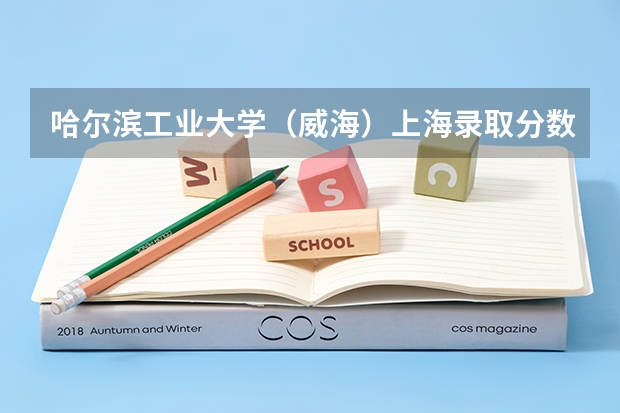 哈尔滨工业大学（威海）上海录取分数线是多少(2024招生人数预测)