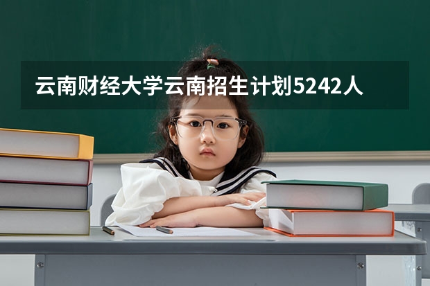 云南财经大学云南招生计划5242人,有哪些专业计划比较多?