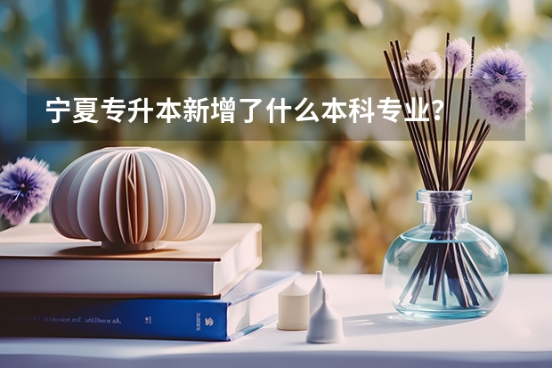 宁夏专升本新增了什么本科专业？