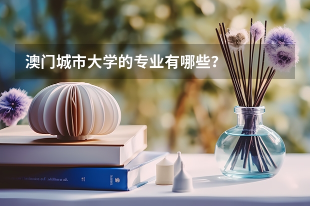 澳门城市大学的专业有哪些？