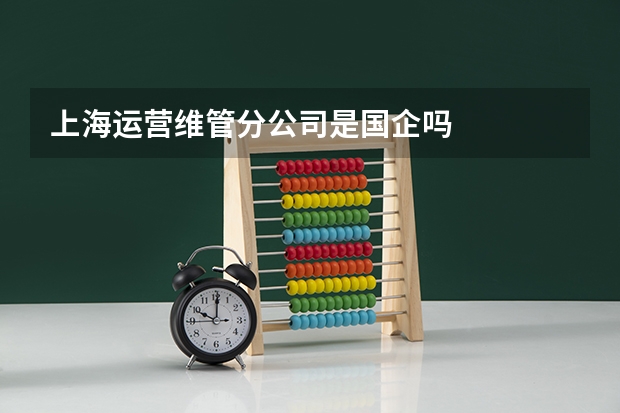 上海运营维管分公司是国企吗