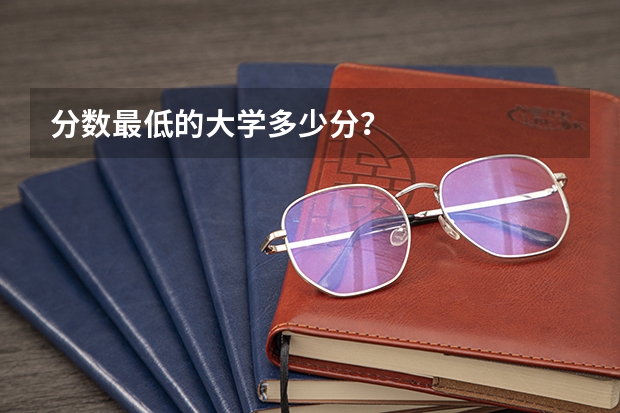 分数最低的大学多少分？