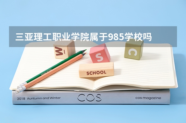 三亚理工职业学院属于985学校吗 2023年三亚理工职业学院考试分数是多少