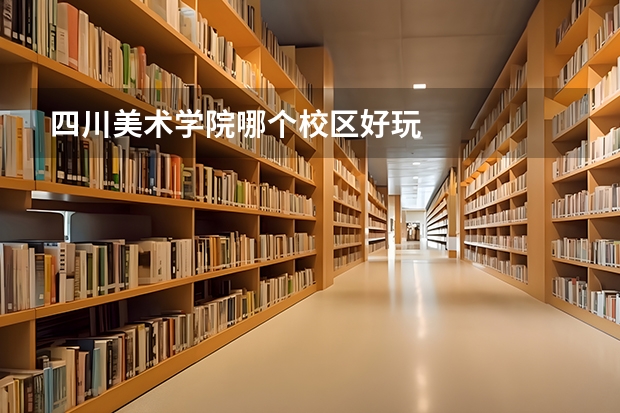 四川美术学院哪个校区好玩