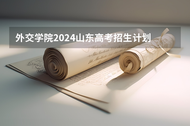 外交学院2024山东高考招生计划 招多少人