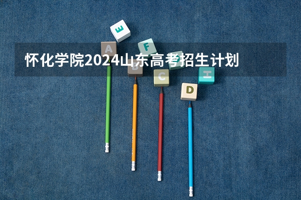 怀化学院2024山东高考招生计划 招多少人