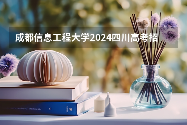 成都信息工程大学2024四川高考招生计划 招多少人