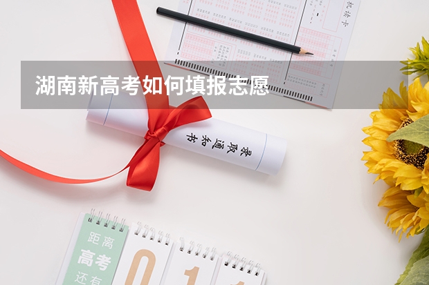 湖南新高考如何填报志愿