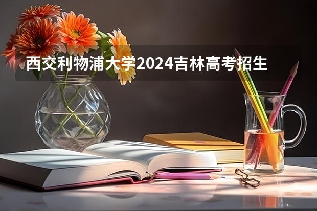 西交利物浦大学2024吉林高考招生计划 招多少人