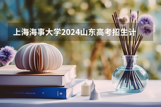 上海海事大学2024山东高考招生计划 招多少人