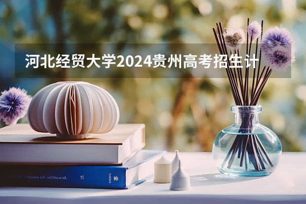 河北经贸大学2024贵州高考招生计划 招多少人