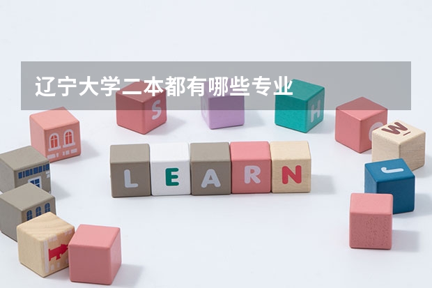 辽宁大学二本都有哪些专业
