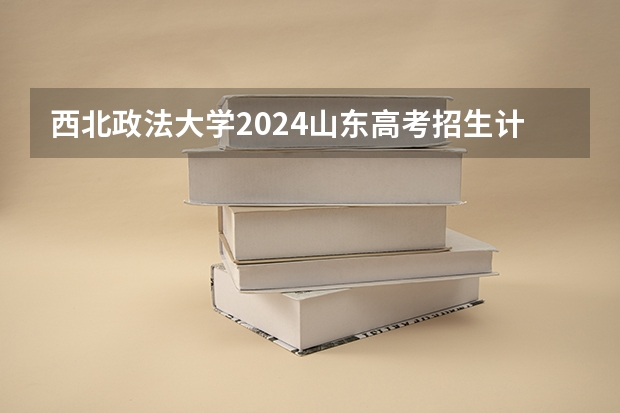 西北政法大学2024山东高考招生计划 招多少人