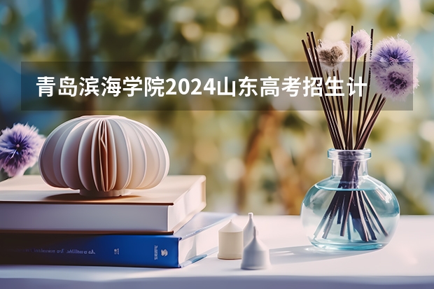 青岛滨海学院2024山东高考招生计划 招多少人