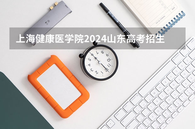 上海健康医学院2024山东高考招生计划 招多少人