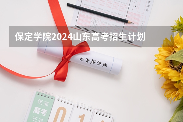 保定学院2024山东高考招生计划 招多少人