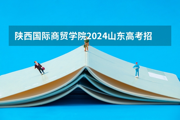 陕西国际商贸学院2024山东高考招生计划 招多少人
