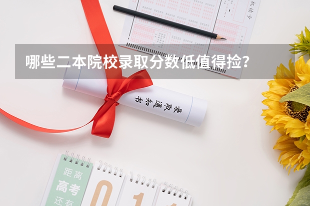 哪些二本院校录取分数低值得捡？