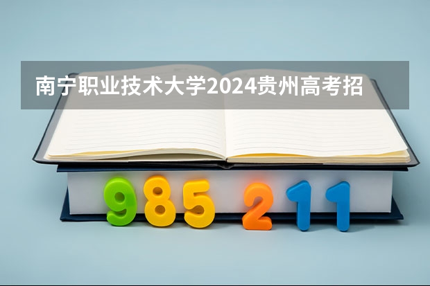 南宁职业技术大学2024贵州高考招生计划 招多少人