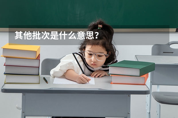 其他批次是什么意思？