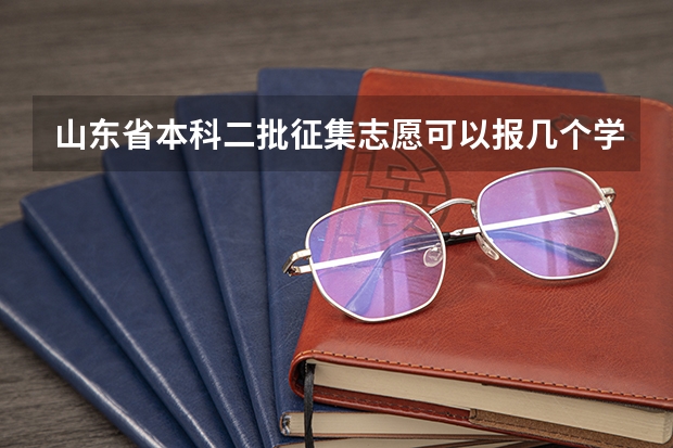 山东省本科二批征集志愿可以报几个学校？（征集志愿可以填几个志愿？）