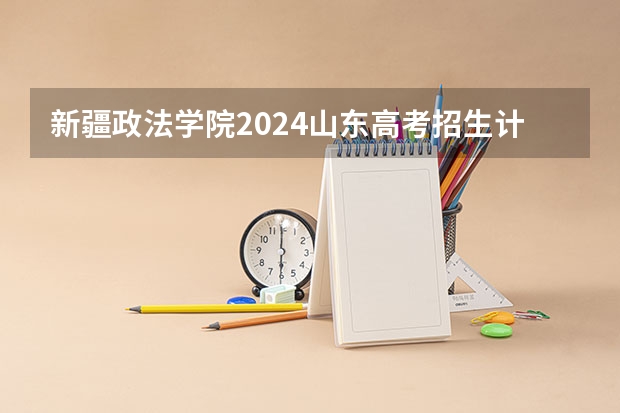 新疆政法学院2024山东高考招生计划 招多少人