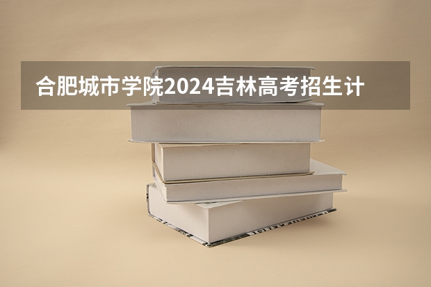 合肥城市学院2024吉林高考招生计划 招多少人