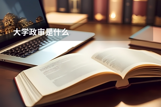 大学政审是什么