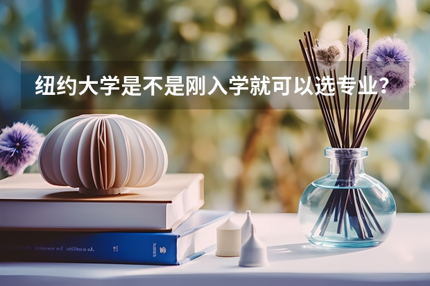 纽约大学是不是刚入学就可以选专业？哪个专业有前途？