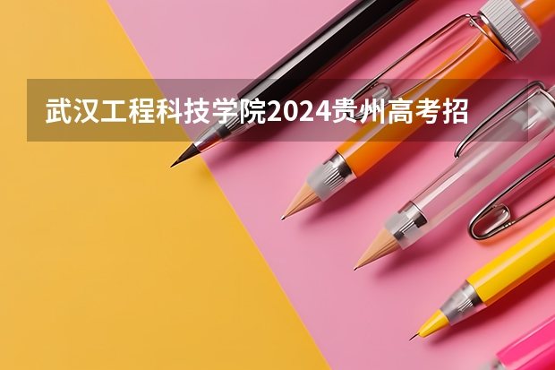 武汉工程科技学院2024贵州高考招生计划 招多少人