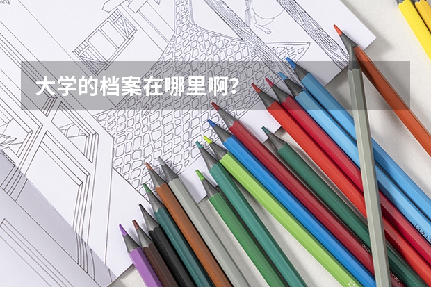 大学的档案在哪里啊？