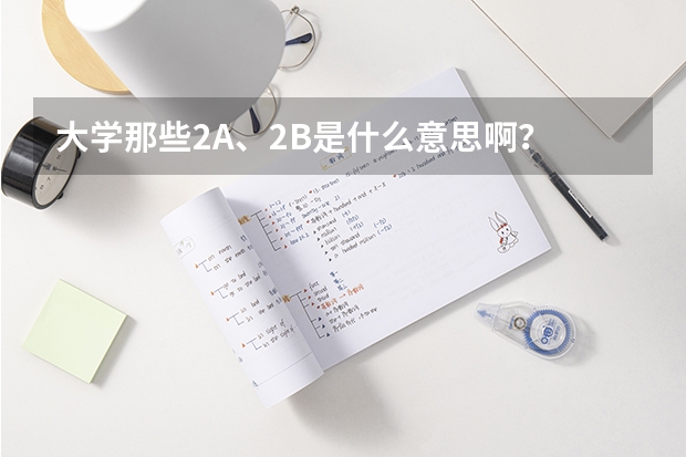 大学那些2A、2B是什么意思啊?