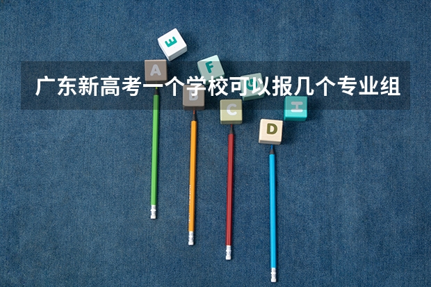 广东新高考一个学校可以报几个专业组 广东高考录取规则
