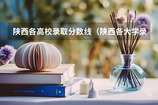 陕西各高校录取分数线（陕西各大学录取分数线一览表）